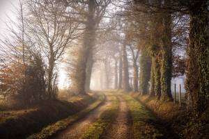 Nicolas RIFFAUD - Nicolas RIFFAUD