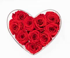 Lucia LOPS - LULU PHOTOGRAPHY